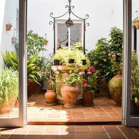 Alexia - Isla - Sunny One Bedroom - Balcony-terrace Apartment