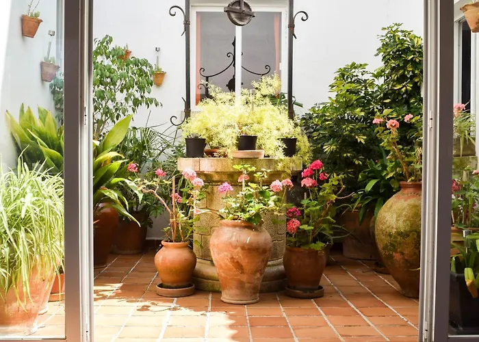 Alexia Isla Direct Pool Access 1b 9min To Sea 5 Min To Town At1833 Appartement